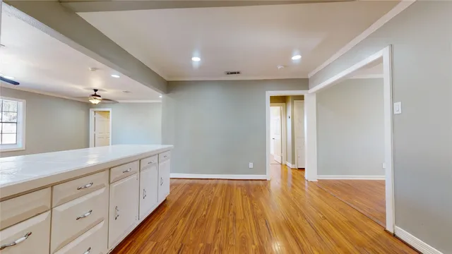 a backyard of a house with plants and large tree