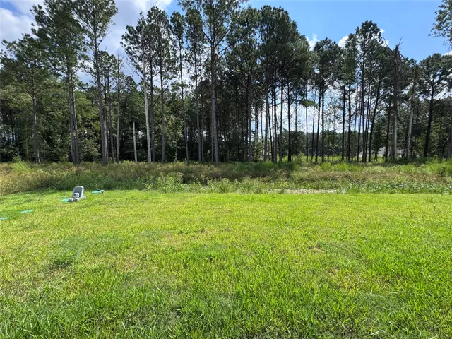 a view of outdoor space with deck and yard
