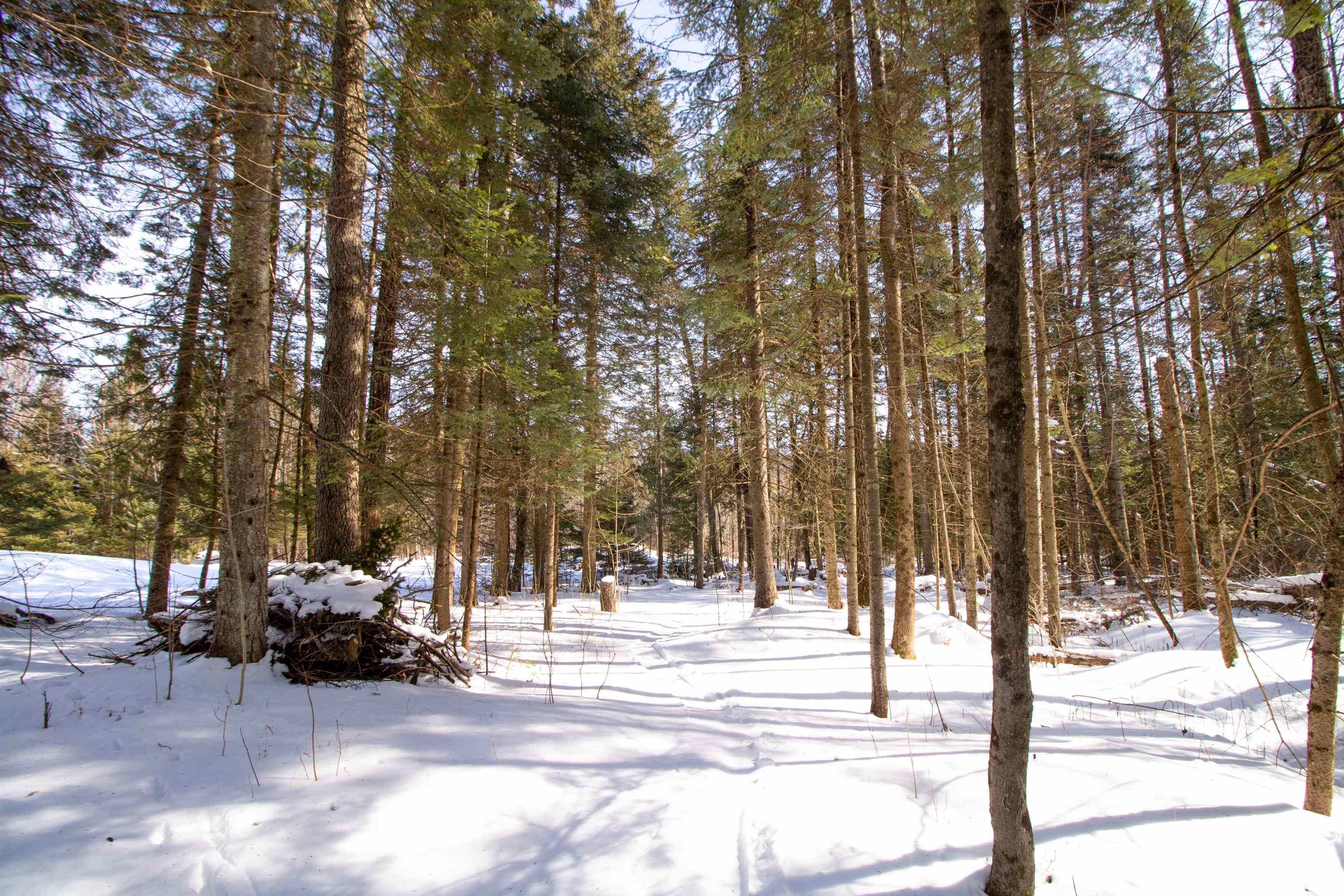 1716 Maple Hill Road Barton, VT 05822 - Photo 5 of 40