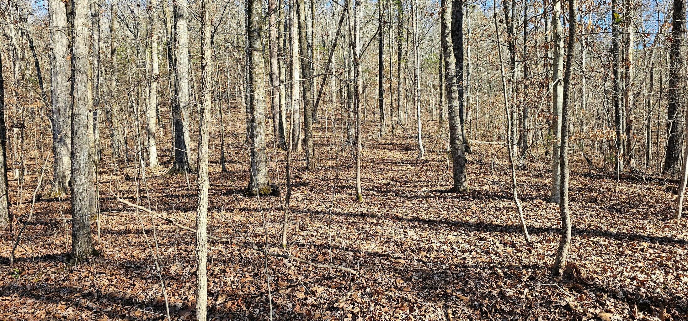 Na Griffith Highway Whitwell, TN 37397 - Photo 1 of 4 GH