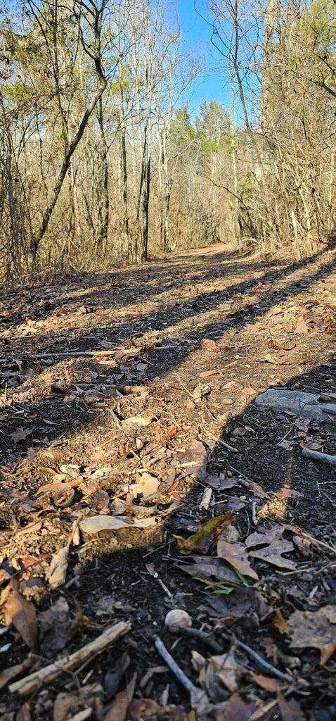 Na Griffith Highway Whitwell, TN 37397 - Photo 3 of 4 GH-path
