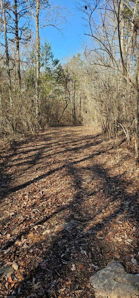 Na Griffith Highway Whitwell, TN 37397 - Photo 4 of 4 GH-4