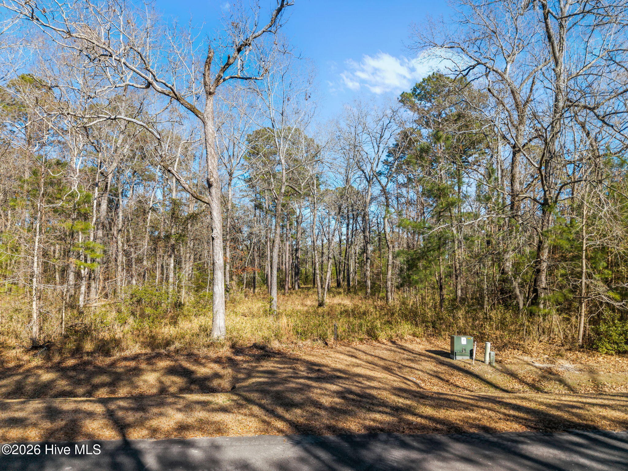 25 Sunset Point Road Belhaven, NC 27810 - Photo 6 of 17 View from Road