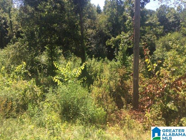 0 County Road 51, Unit 1 Clanton, AL 35046 - Photo 2 of 3