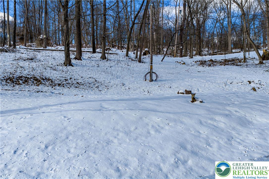 2058 River Road Mount Bethel, PA 18343 - Photo 19 of 39 a ground with lots of trees