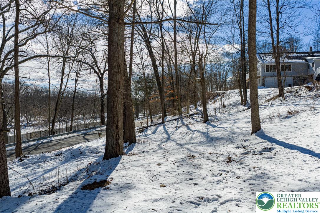 2058 River Road Mount Bethel, PA 18343 - Photo 23 of 39 a view of a forest filled with trees