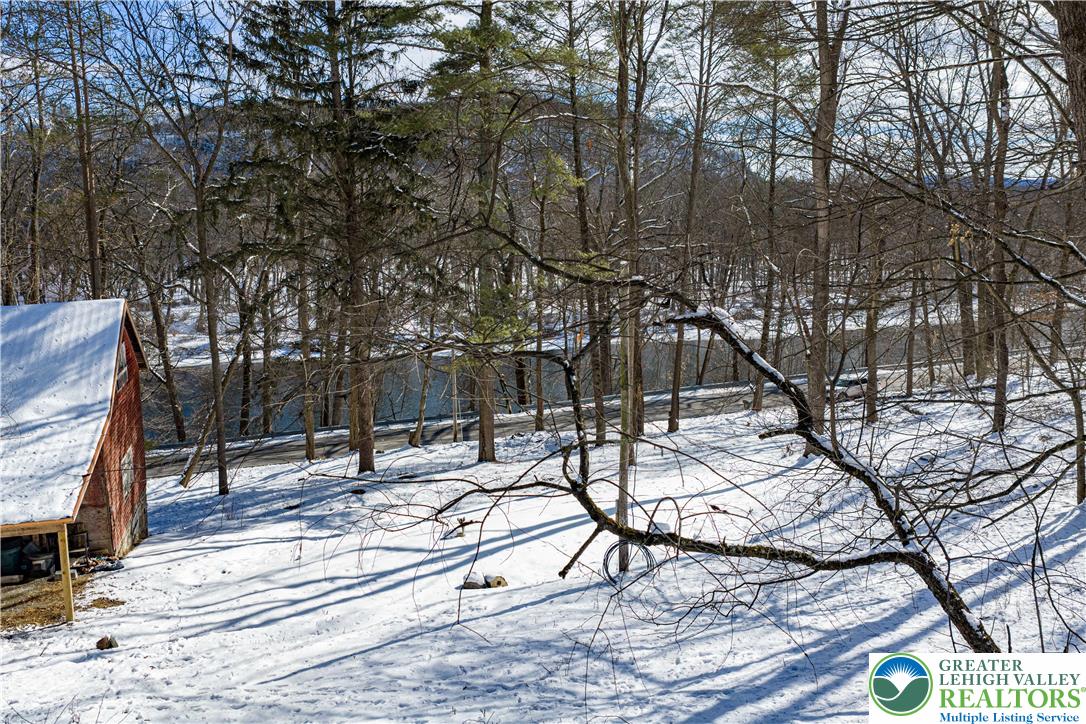 2058 River Road Mount Bethel, PA 18343 - Photo 3 of 39 a view of a yard with trees