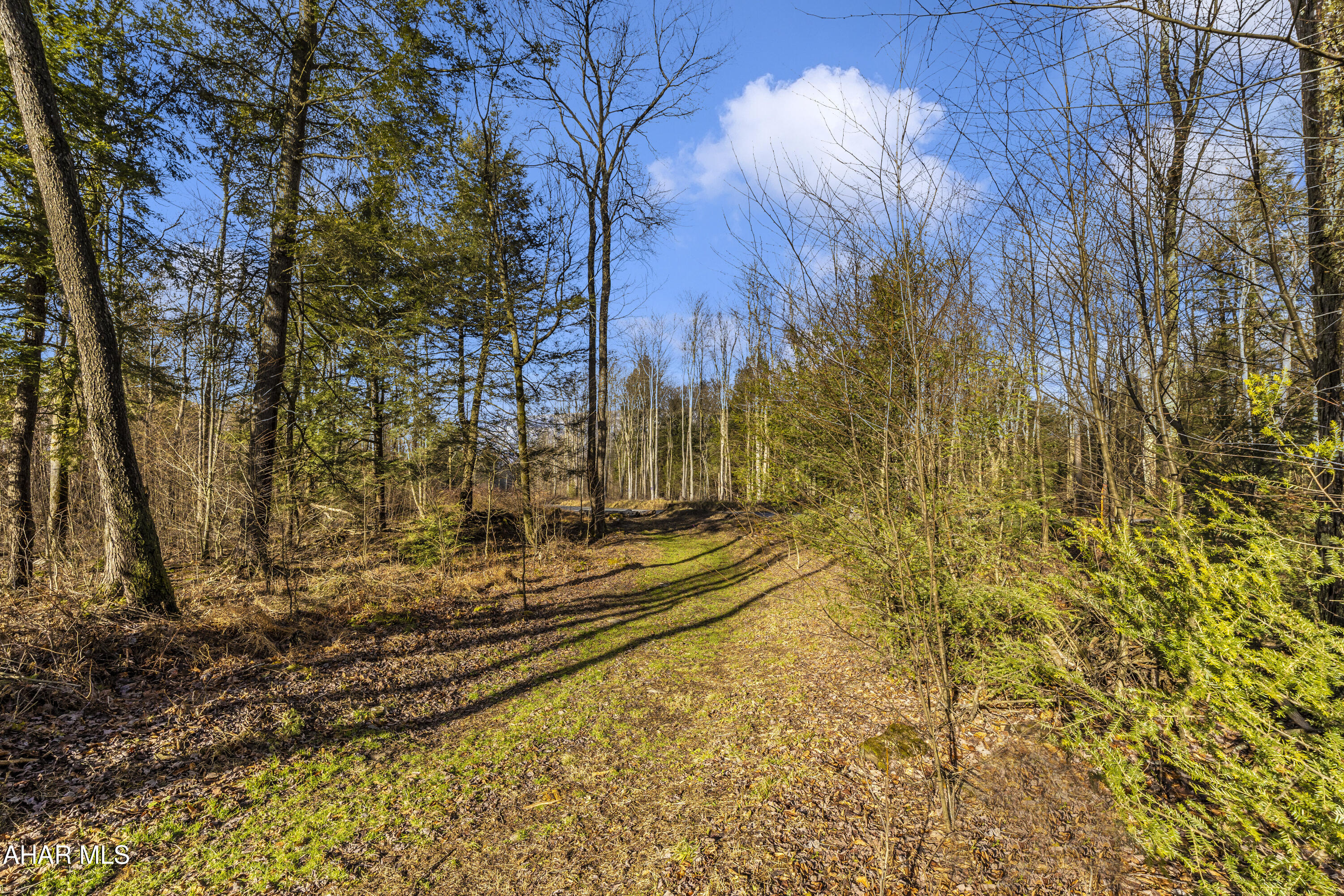 0 Lot 6 Mountain Road Road Lilly, PA 15938 - Photo 1 of 33