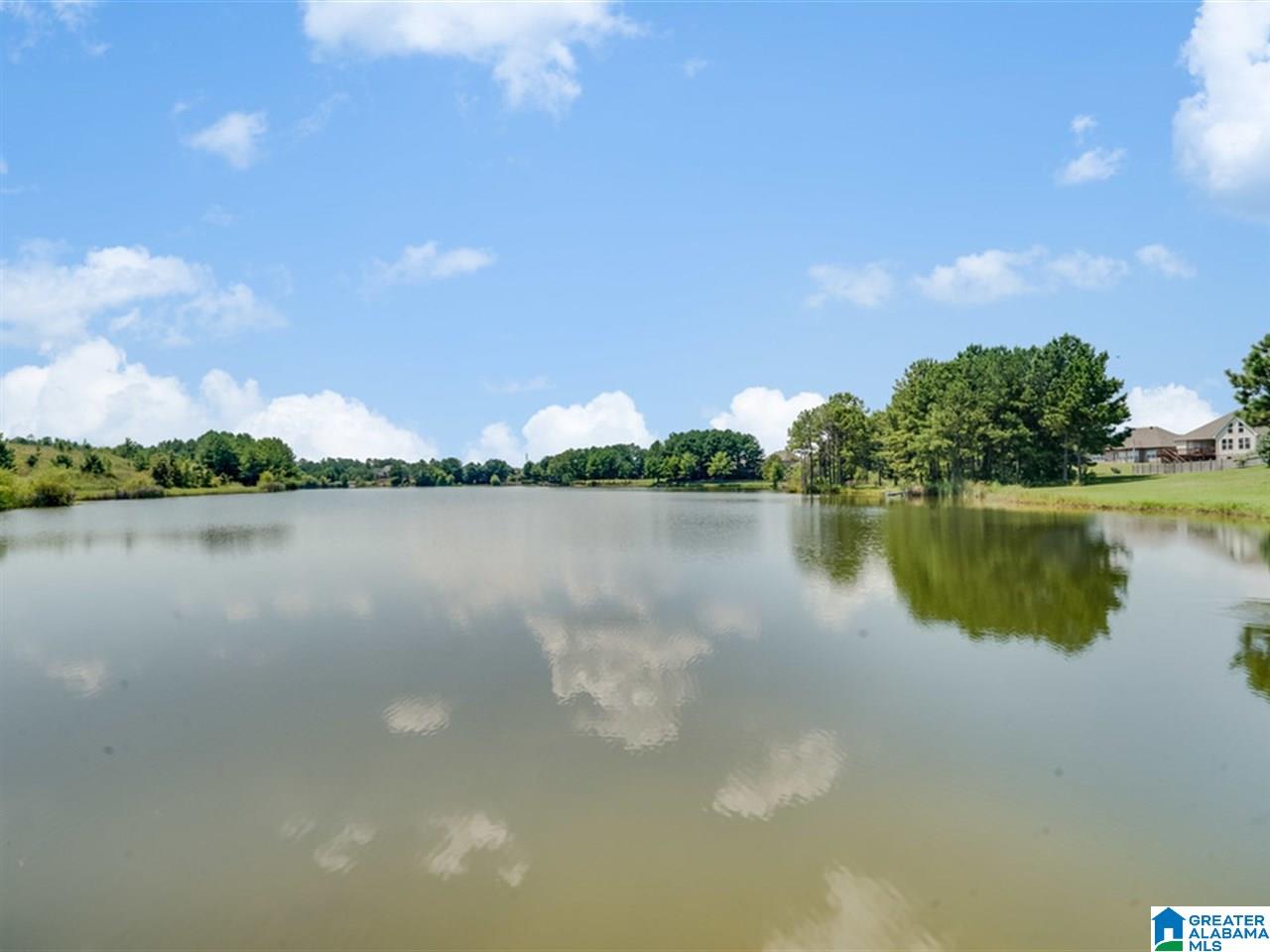 655 Waterford Lane Calera, AL 35040 - Photo 35 of 36