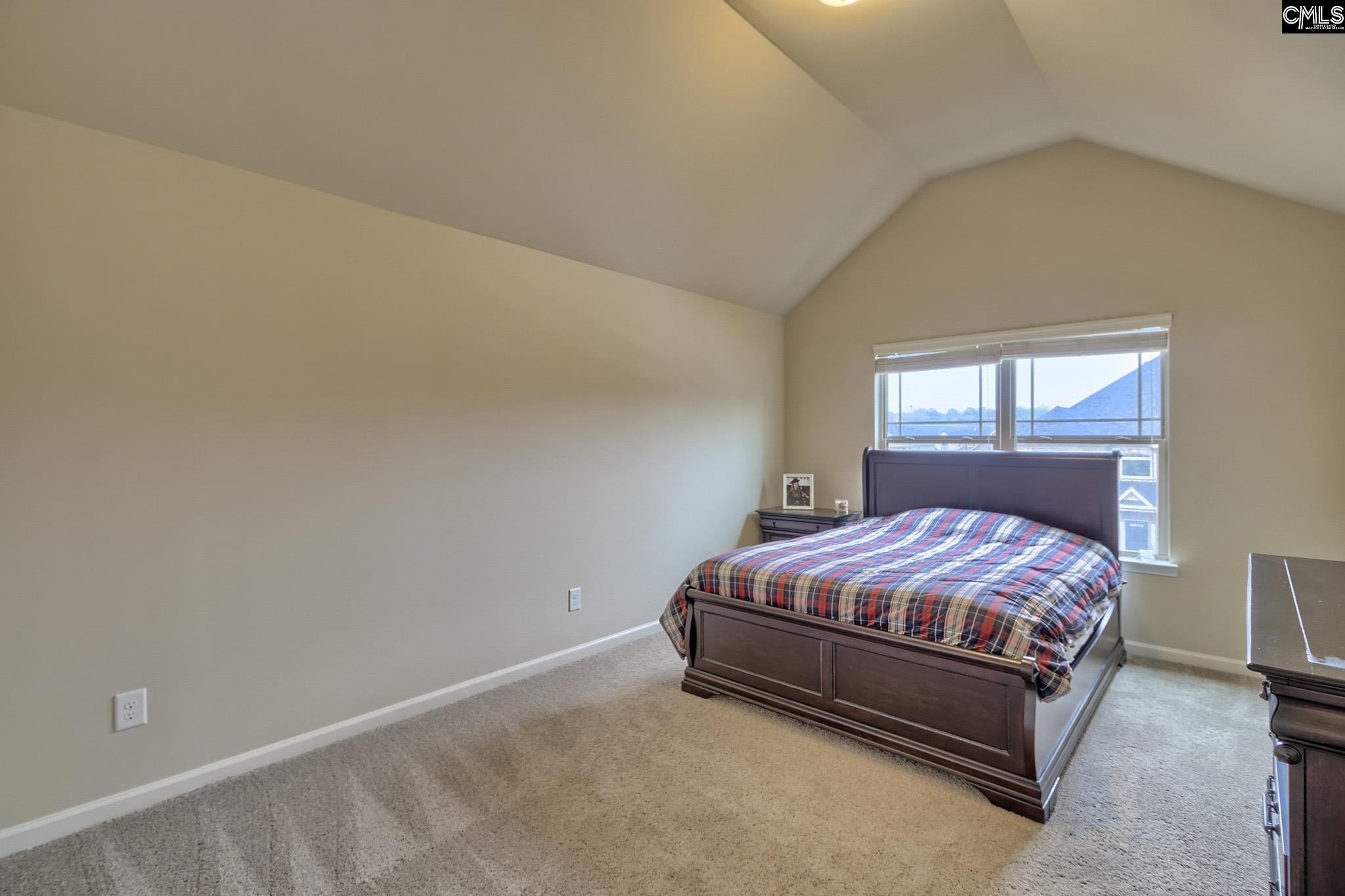194 Westcott Ridge Road Chapin, SC 29036 - Photo 16 of 26