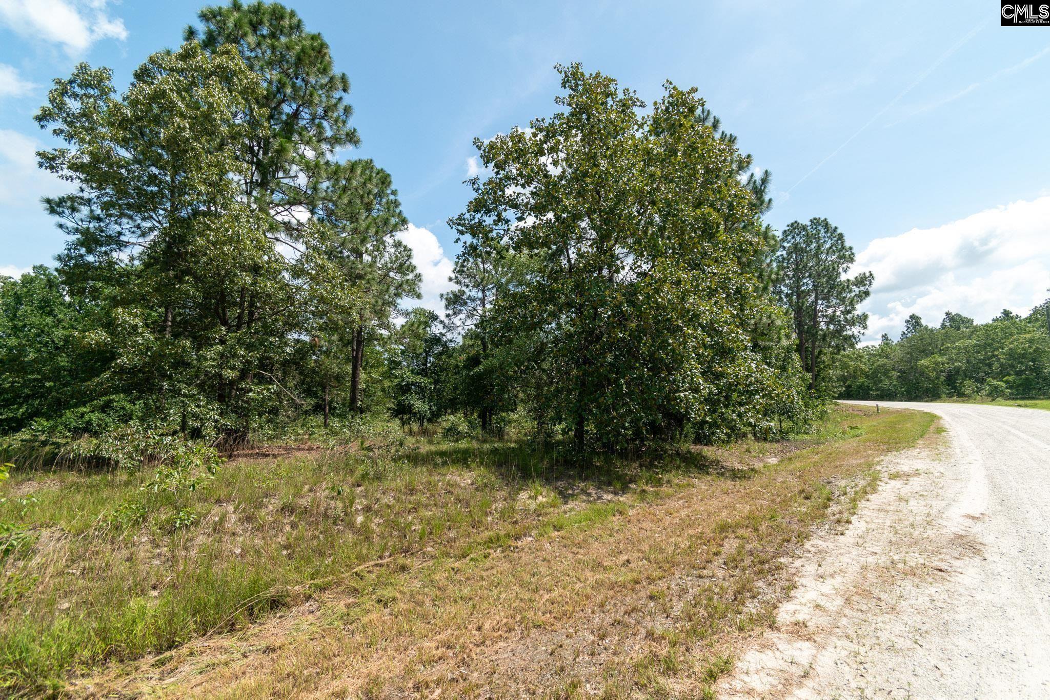 236 Hound Holw Road Camden, SC 29020 - Photo 6 of 6