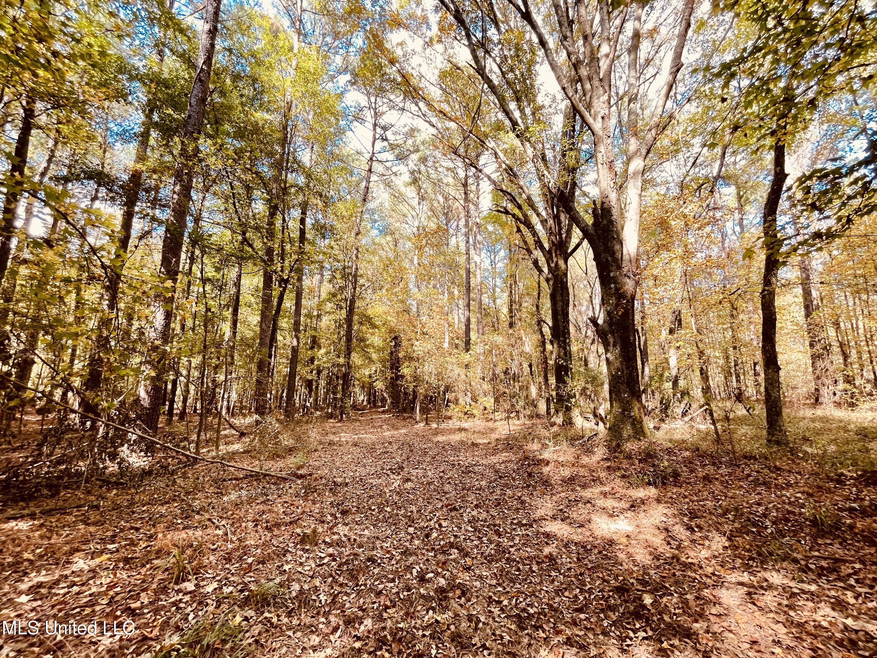 12 Ms Highway Durant, MS 39063 - Photo 14 of 18 IMG_3999