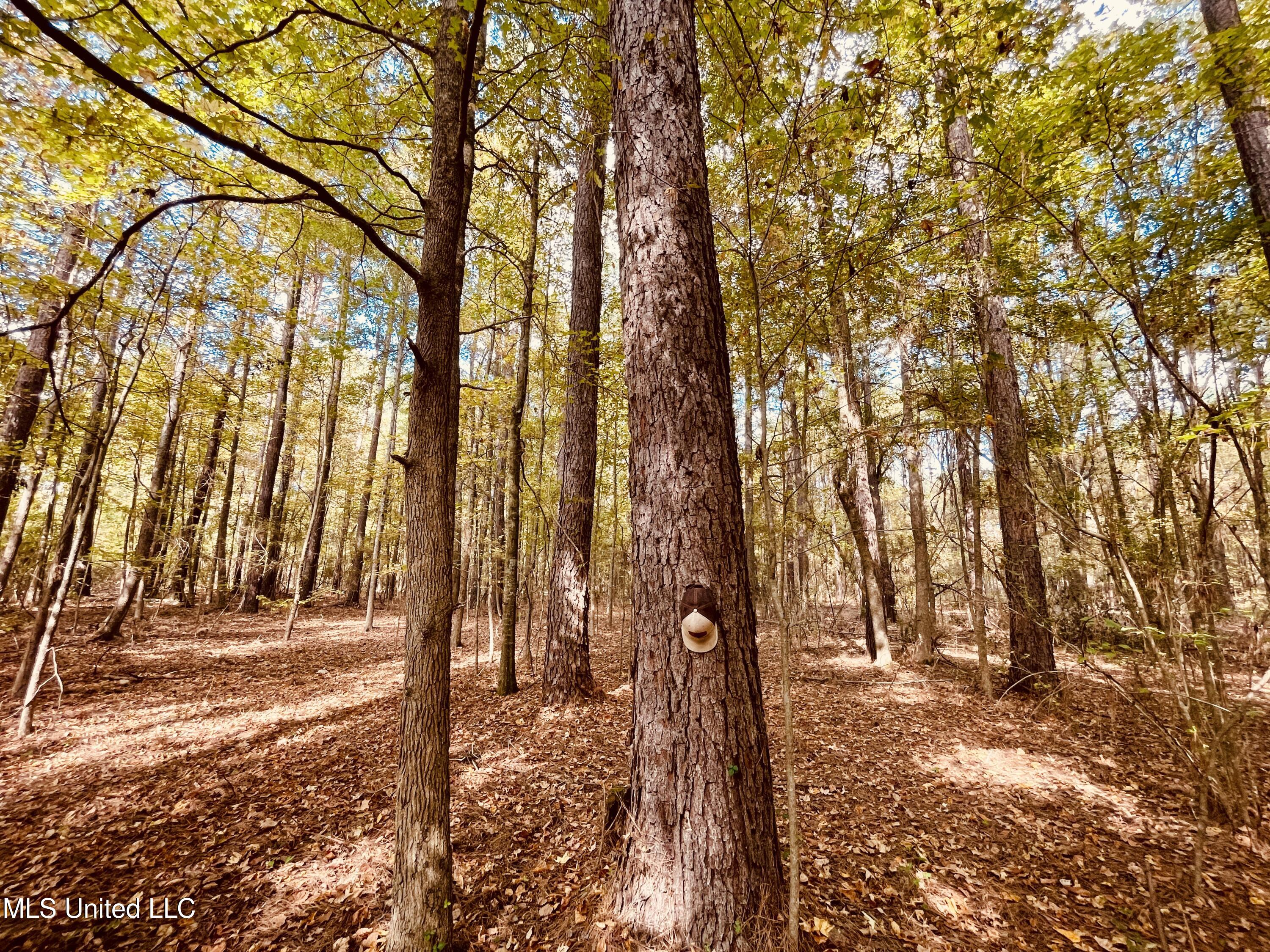 12 Ms Highway Durant, MS 39063 - Photo 16 of 18 IMG_4002