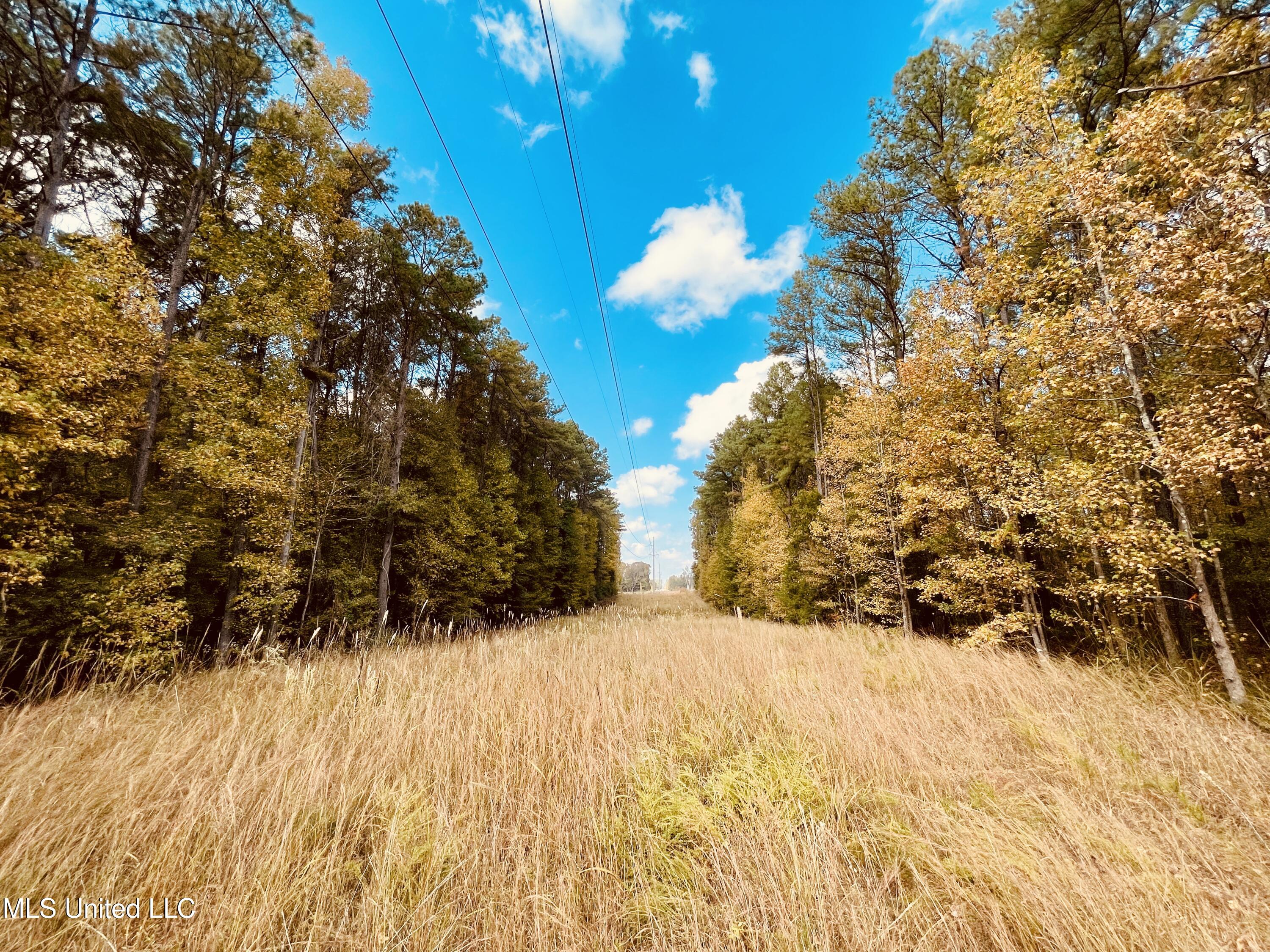 12 Ms Highway Durant, MS 39063 - Photo 17 of 18 IMG_4003