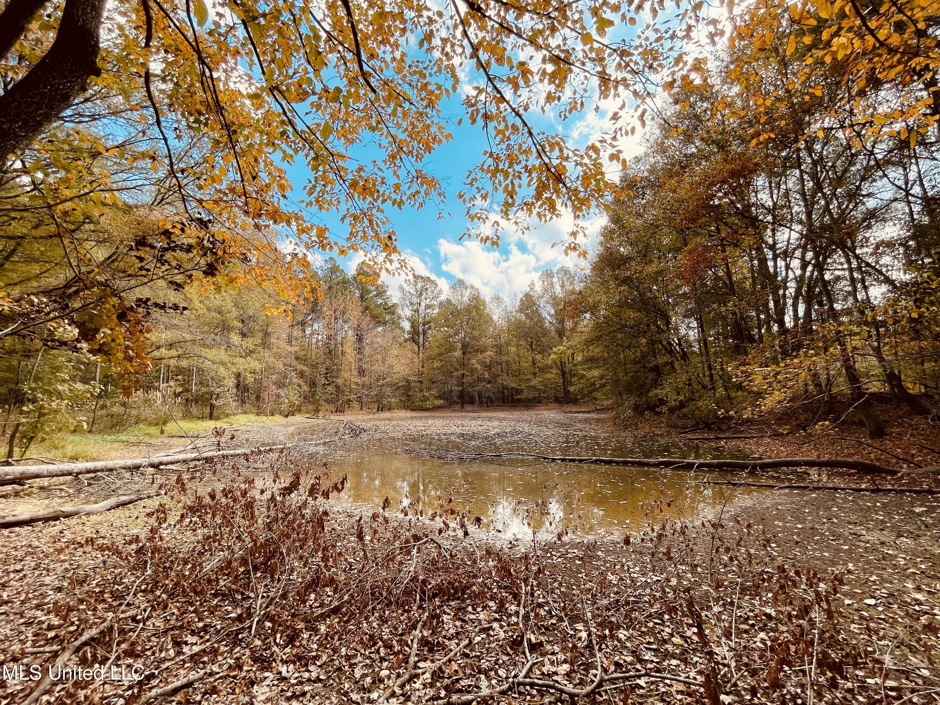 12 Ms Highway Durant, MS 39063 - Photo 18 of 18 IMG_4004