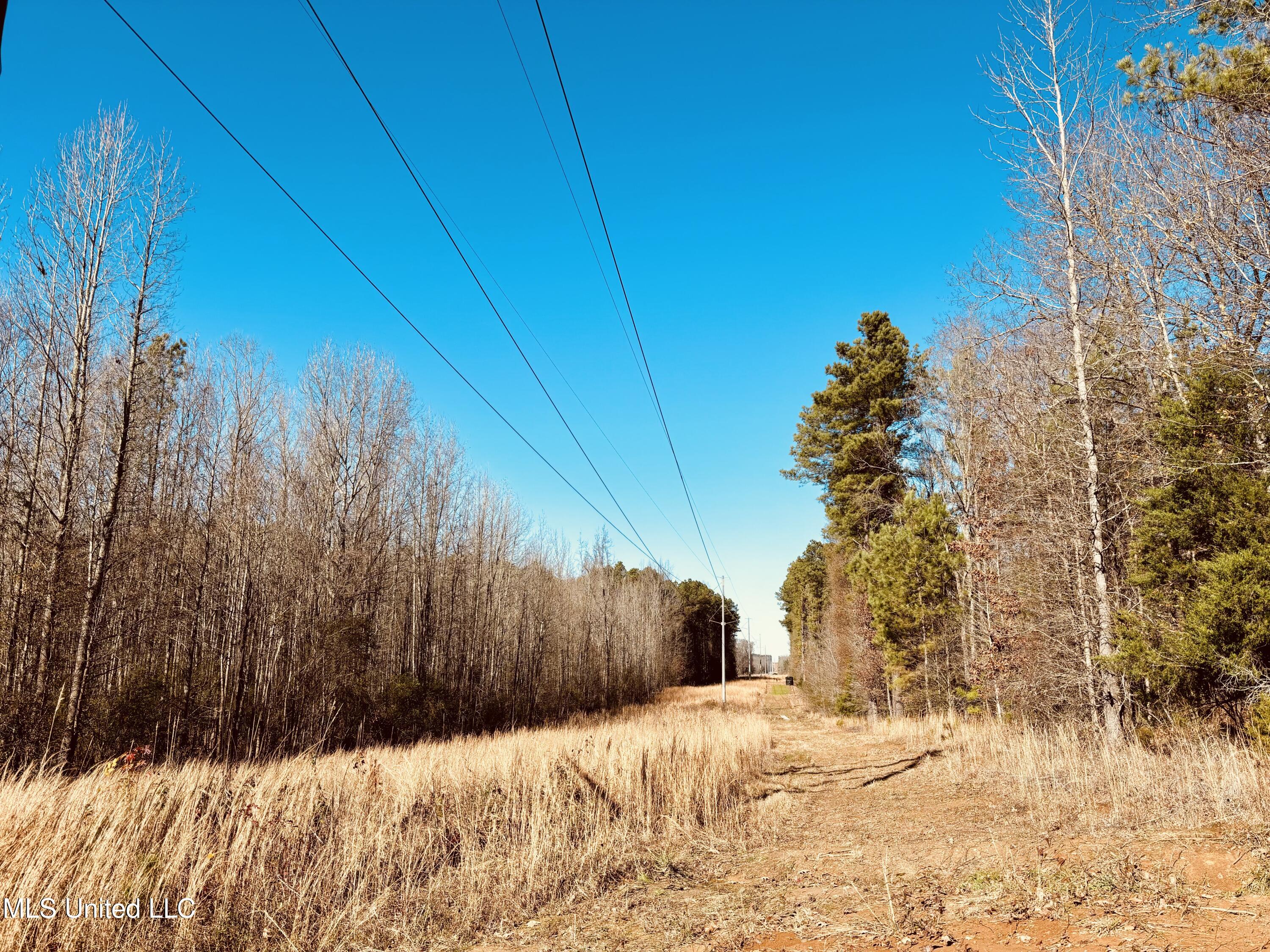 12 Ms Highway Durant, MS 39063 - Photo 5 of 18 IMG_0091
