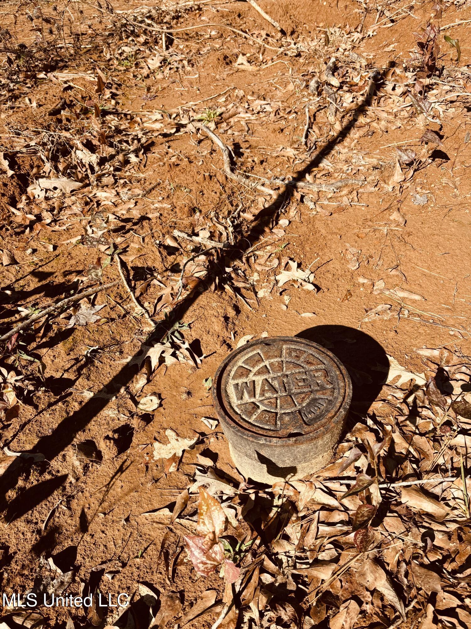 12 Ms Highway Durant, MS 39063 - Photo 7 of 18 IMG_0093