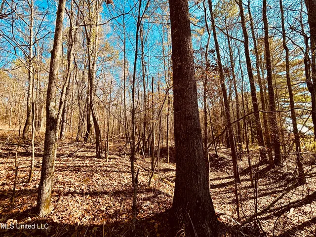 $160,000 | 12 Ms Highway, Durant, MS 39063