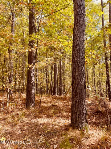 $160,000 | 12 Ms Highway, Durant, MS 39063