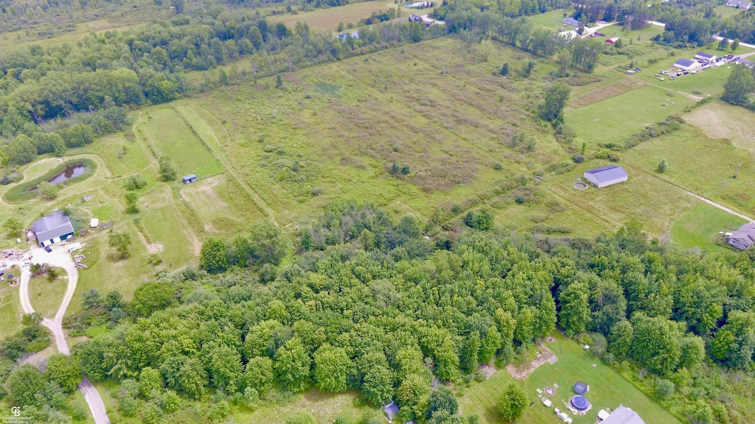 Reeves Vl Road Memphis, MI 48041 - Photo 5 of 20
