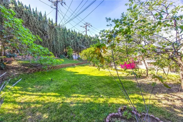 a view of a backyard with plants and flowers