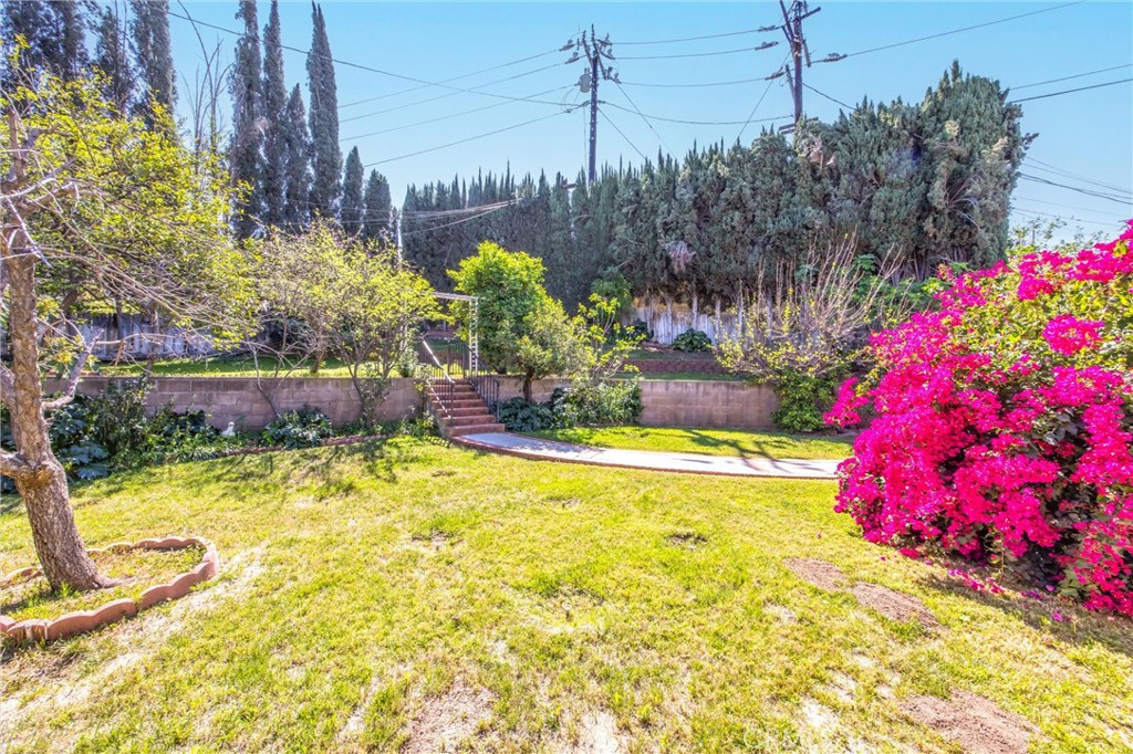 24673 Barton Road Loma Linda, CA 92354 - Photo 37 of 38 a view of a backyard with plants and flowers