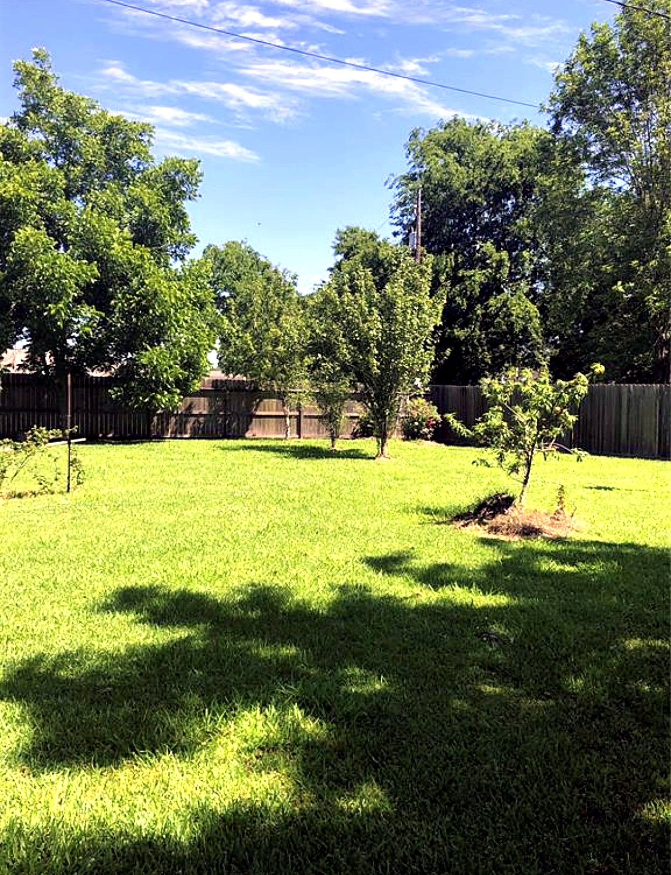 6104 Fox Ridge Drive Angleton, TX 77515 - Photo 4 of 4 Gallery Image 4