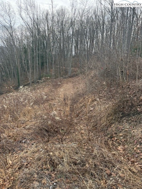Mining Ridge Rd Mountain Mountain City, TN 37683 - Photo 4 of 4 Gallery Image 4