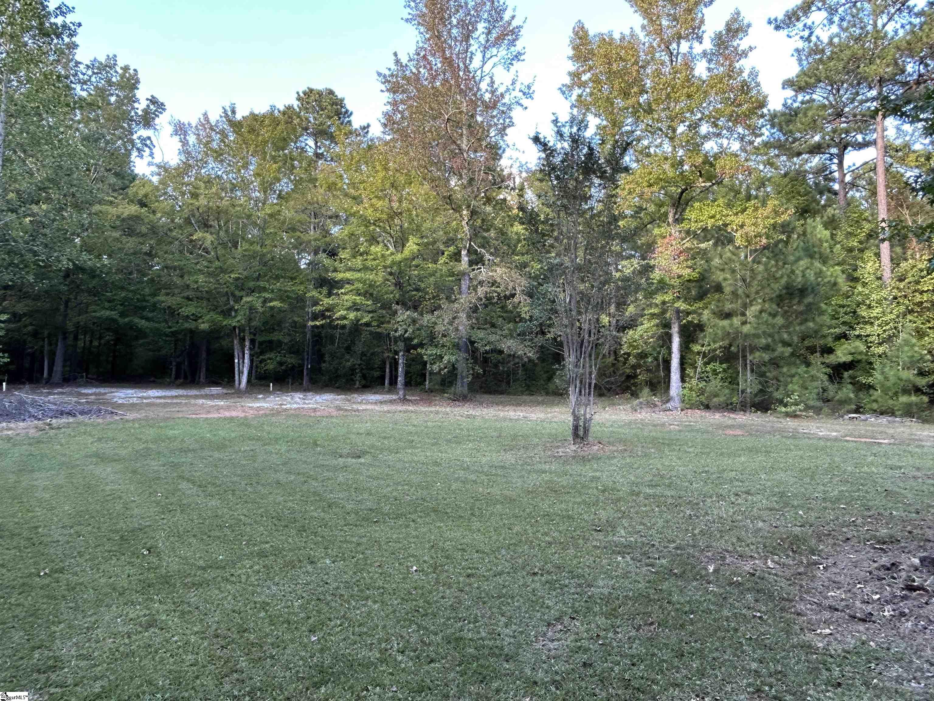 158 Forrester Road Cross Hill, SC 29332 - Photo 3 of 10 Gallery Image 3