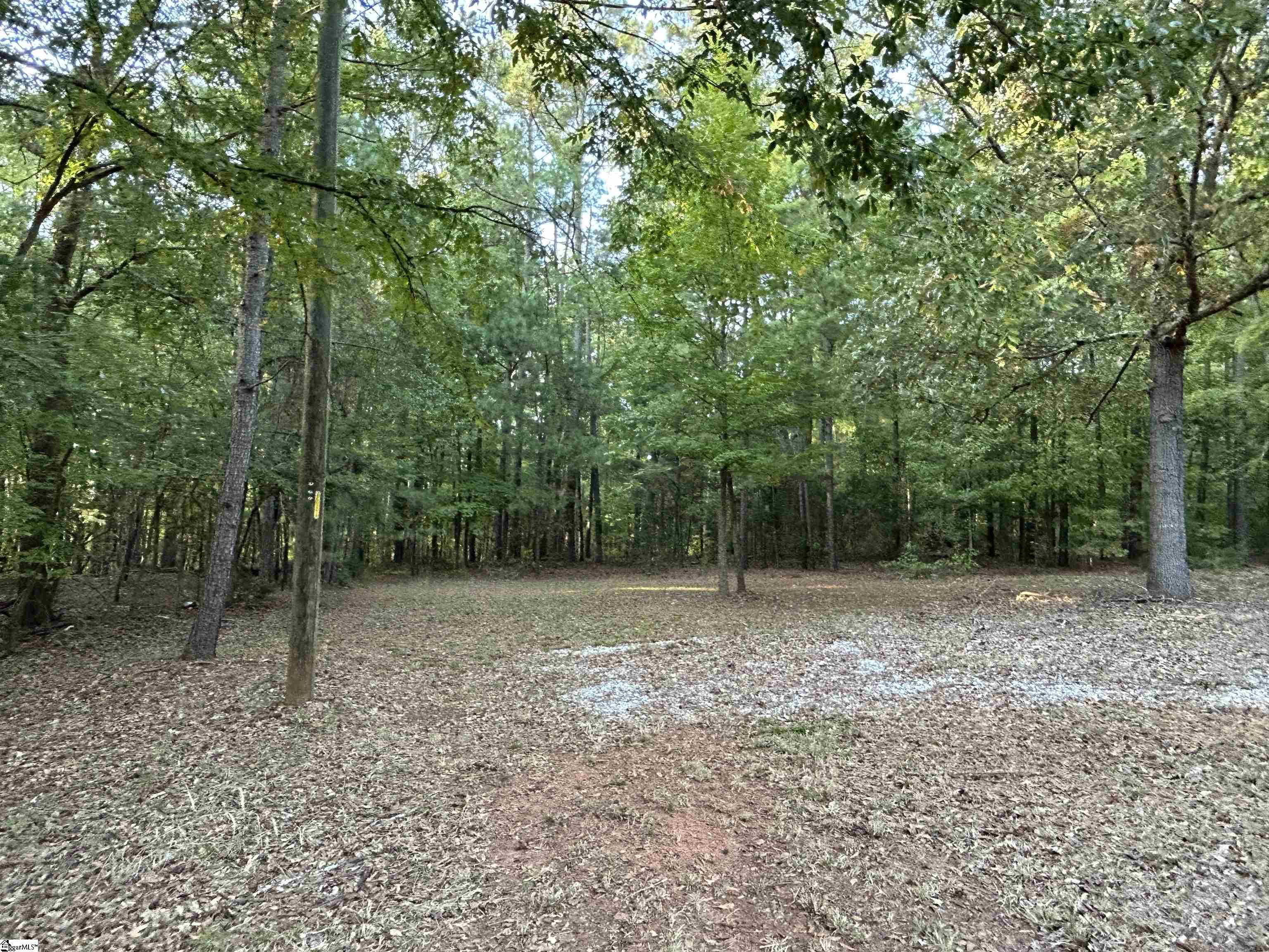 158 Forrester Road Cross Hill, SC 29332 - Photo 6 of 10 Gallery Image 6
