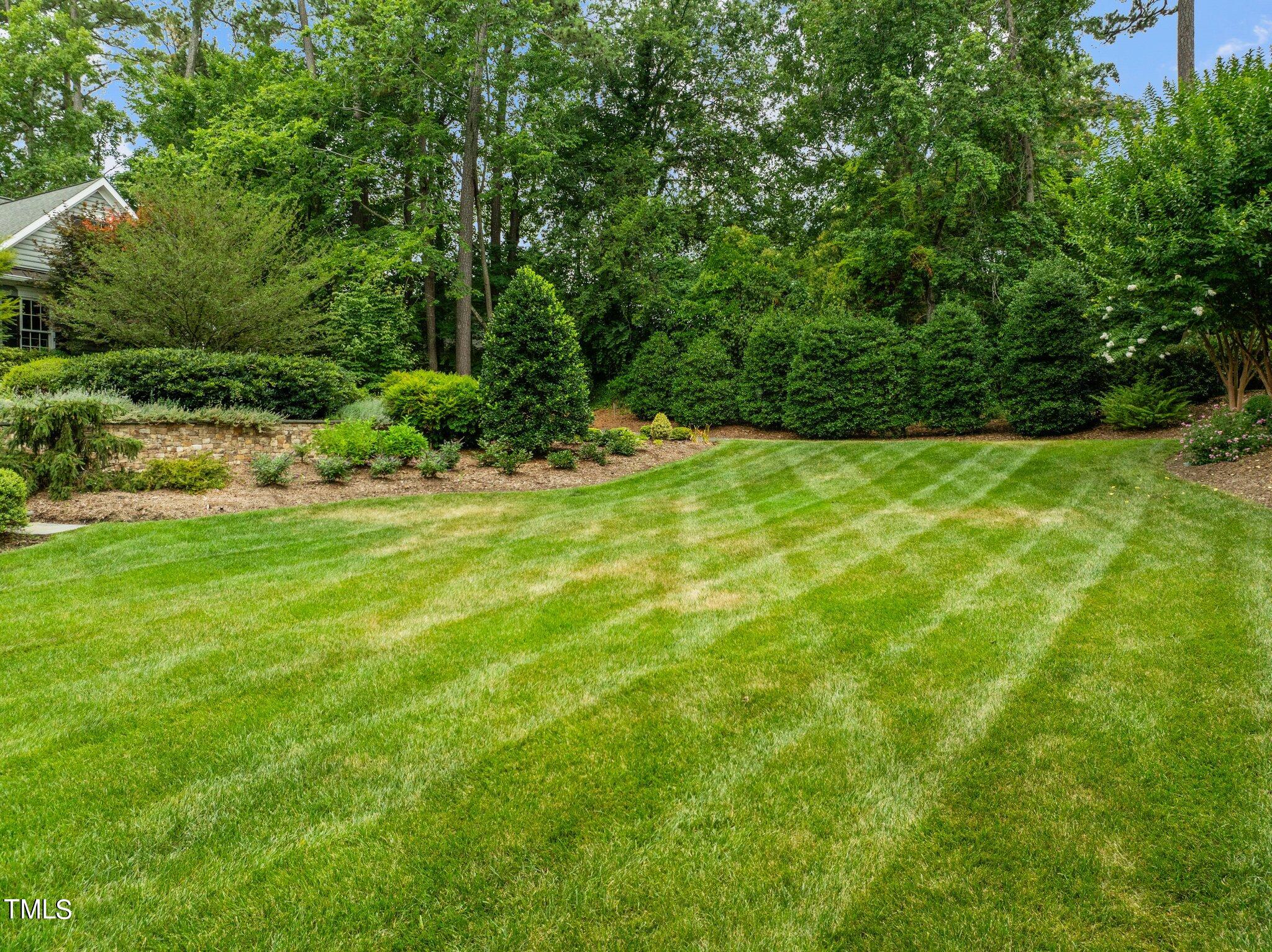 3125 Cornwall Road Durham, NC 27707 - Photo 90 of 99 a view of a yard with a tree
