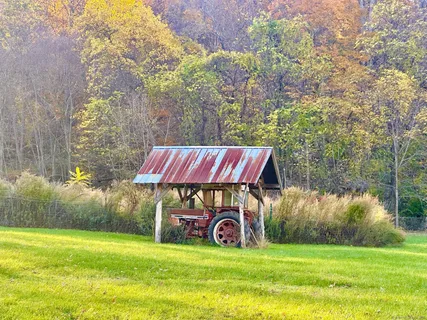 a tree in front of a building