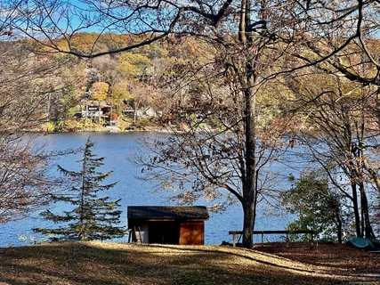 a view of road with trees