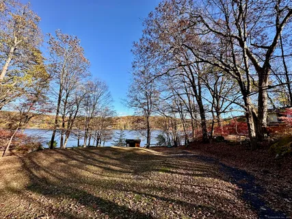 a view of a backyard with large trees