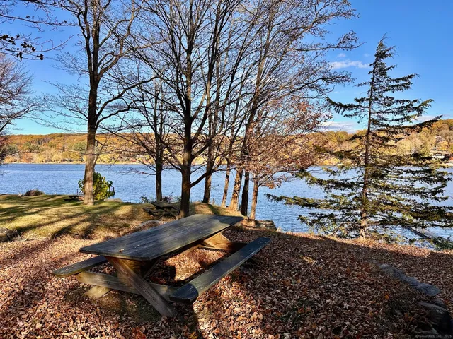 a view of a backyard with large trees