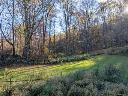 a view of yard with tree s