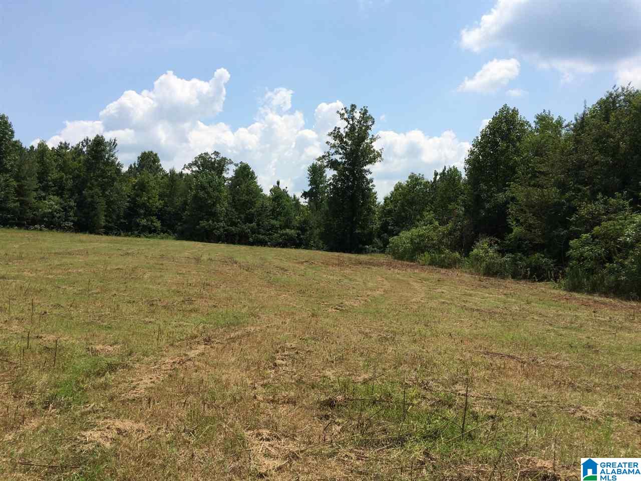 Spunky Hollow Road, Unit 18 7 Oneonta, AL 35121 - Photo 12 of 46
