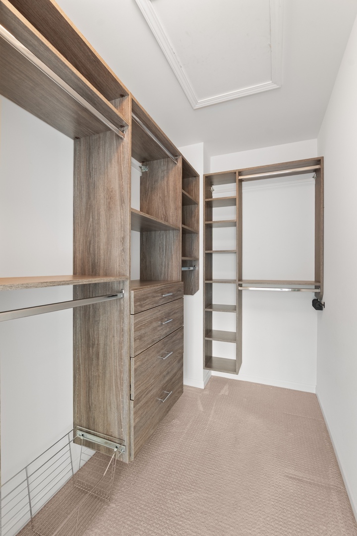 1228 Elm Street Park Ridge, IL 60068 - Photo 17 of 36 a view of walk in closet with empty racks