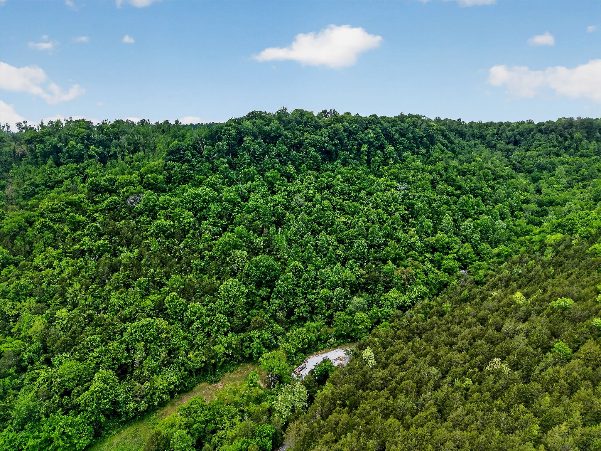 0 Club Springs Road Elmwood, TN 38560 - Photo 16 of 61
