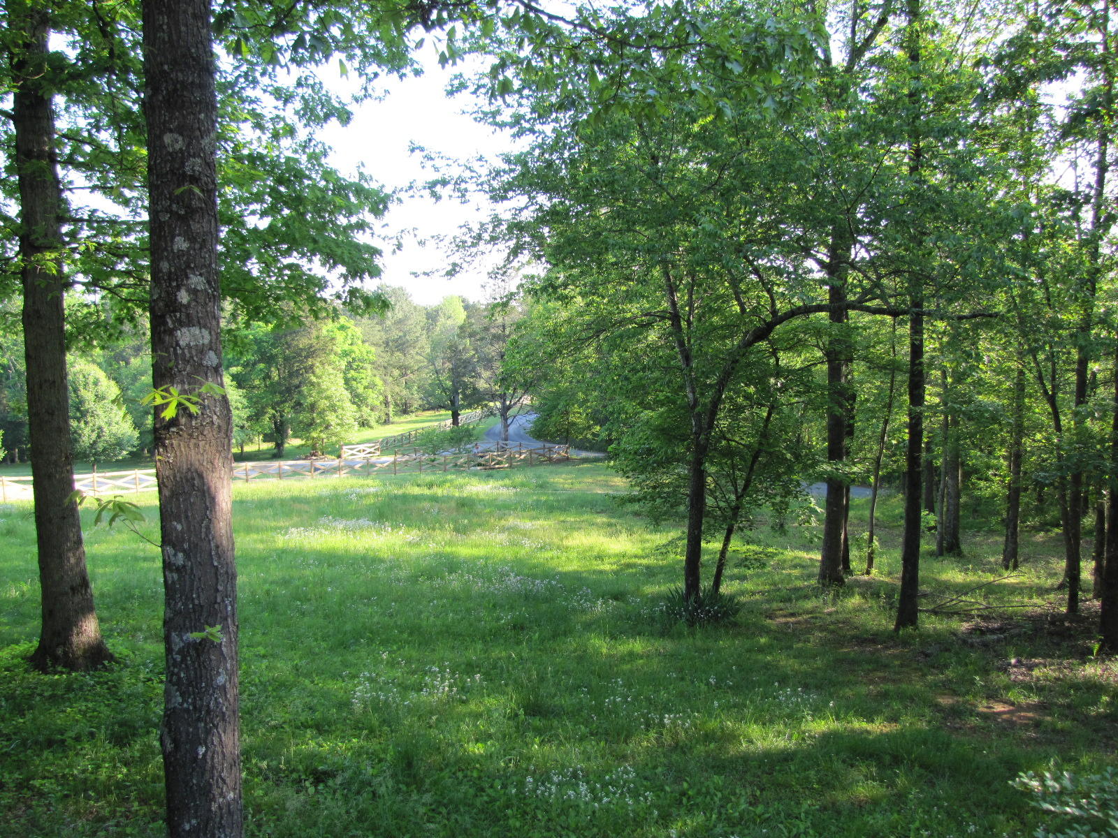 619 Hildabrand Road Ocoee, TN 37361 - Photo 14 of 34 IMG_5229