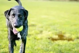 a view of a small yard