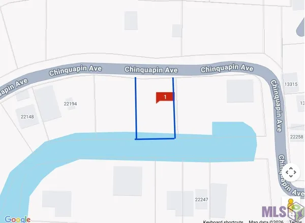 $45,000 | 22222 Chinquapin Avenue, Maurepas, LA 70449