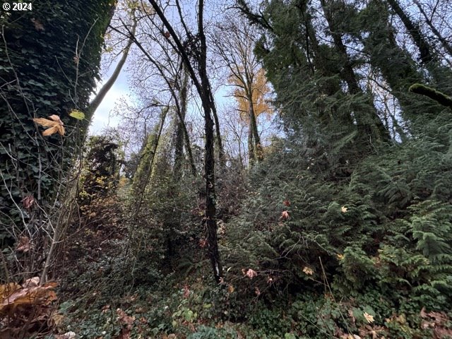 Southwest Barbur Boulevard Portland, OR 97239 - Photo 11 of 13