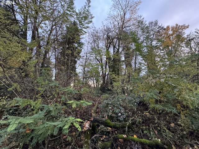 Southwest Barbur Boulevard Portland, OR 97239 - Photo 12 of 13 a view of a forest with trees