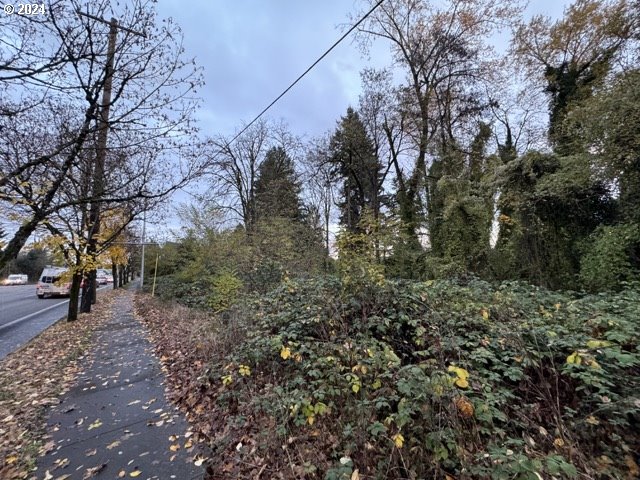 Southwest Barbur Boulevard Portland, OR 97239 - Photo 6 of 13 a view of a forest with trees
