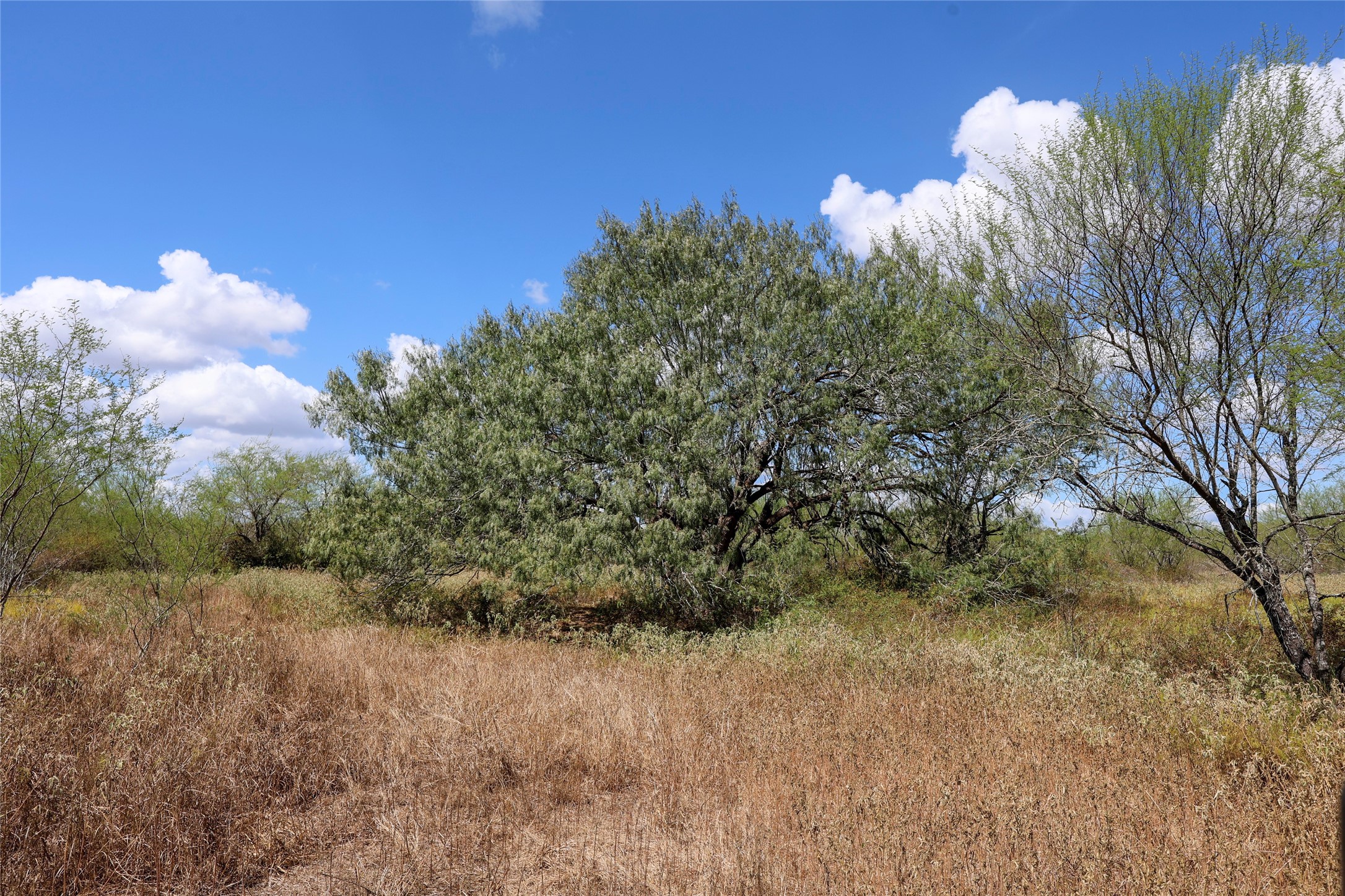Tbd Parsons Road Victoria, TX 77904 - Photo 2 of 24 Gallery Image 2
