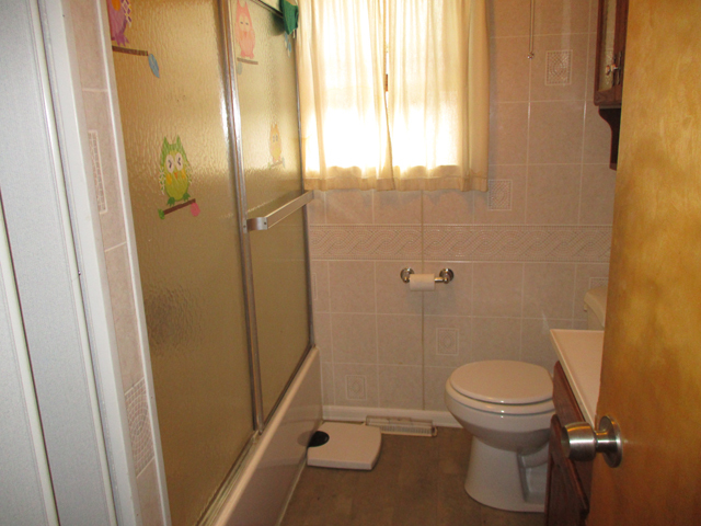 527 East Dakota Street Spring Valley, IL 61362 - Photo 9 of 12 a bathroom with a toilet and a shower