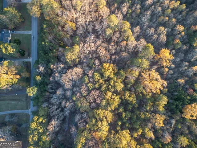 a view of a tree with a yard