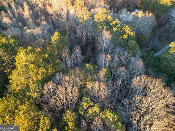 a view of backyard space
