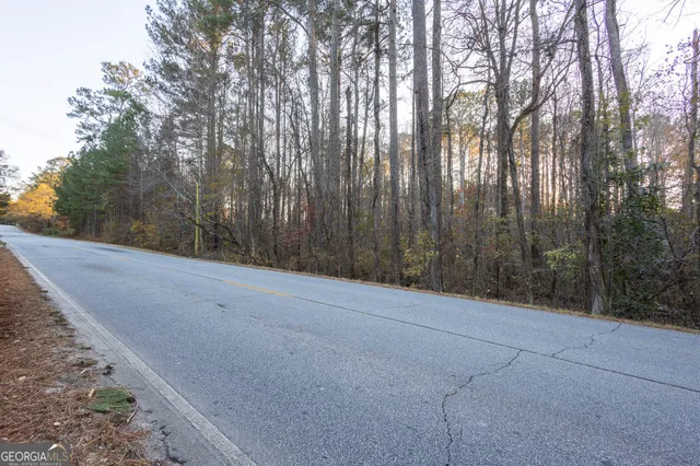 a view of backyard with green space